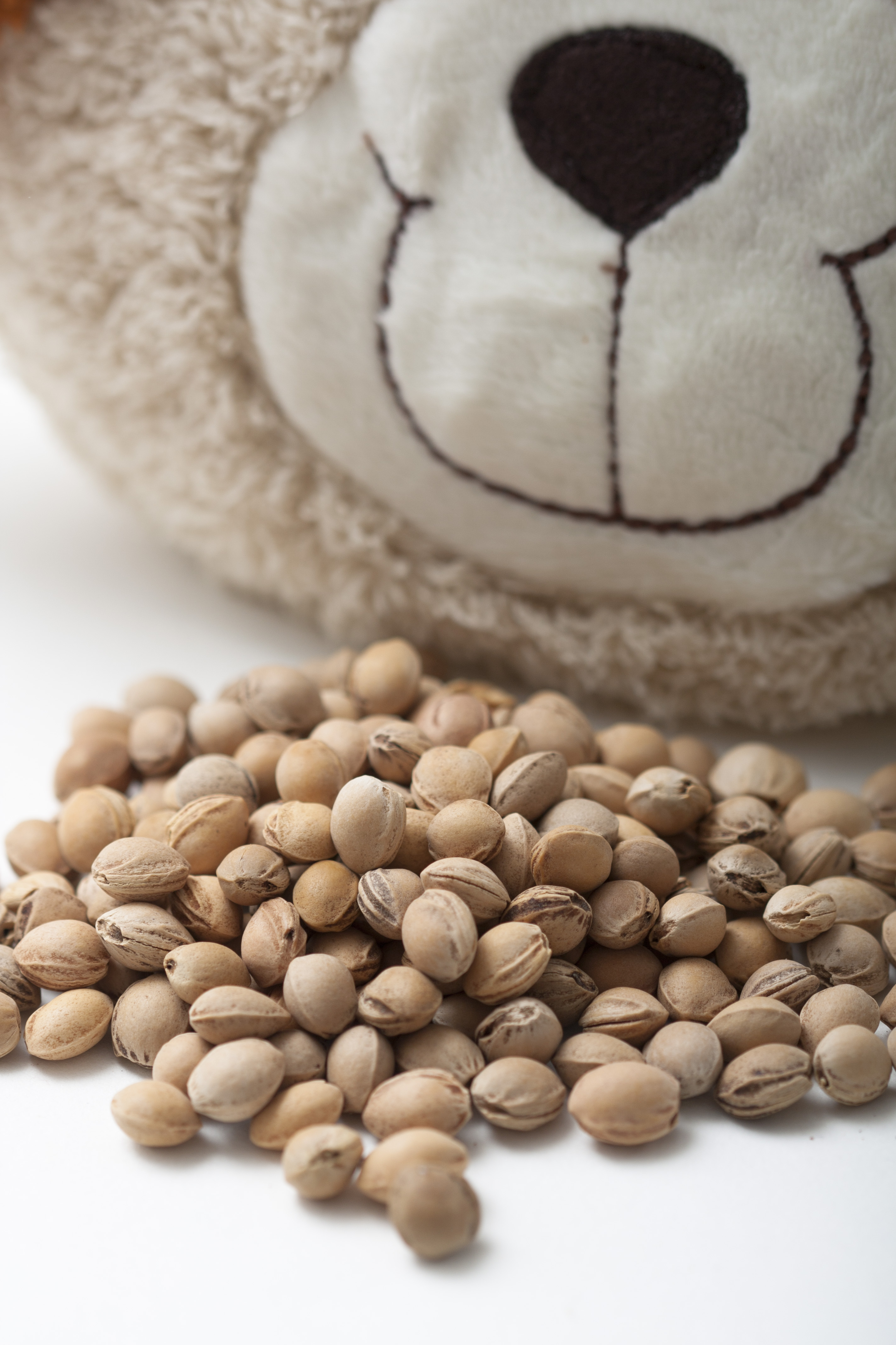 z7.showImageGallery gruenspecht-mein-kleiner-waermefreund-hund-kirschkerne-3-40119