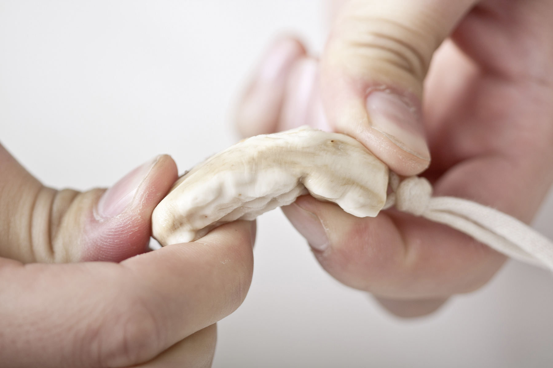 z7.showImageGallery gruenspecht-veilchenwurzel-an-kordel-9-30-1610