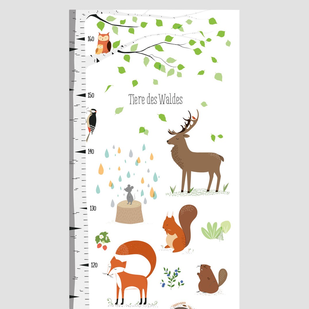 z7.showImageGallery vierundfuenfzig messlatte wald thumbnail 1280x1280
