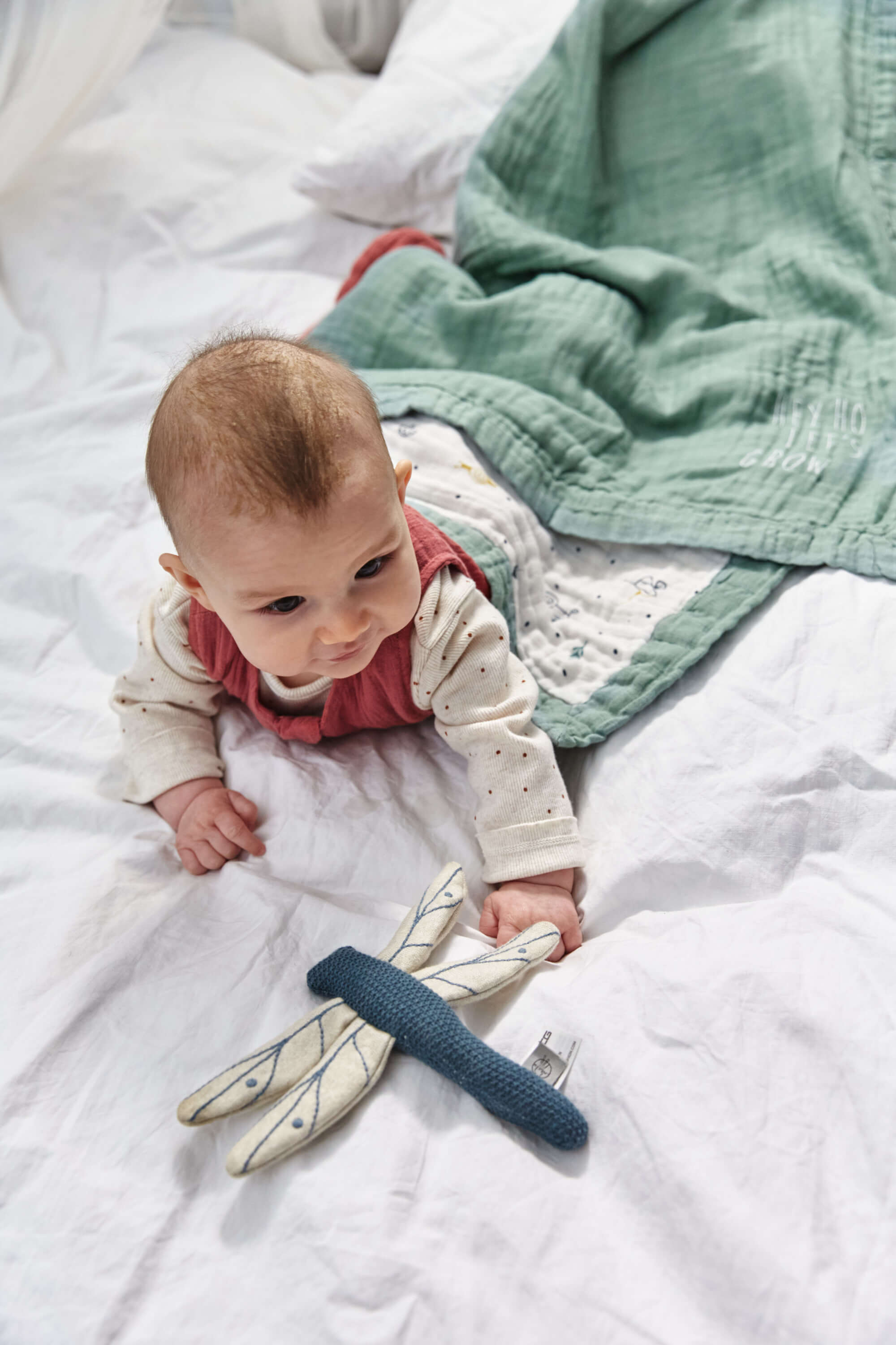 z7.showImageGallery kiglu-laessig-kuscheltier-libelle2